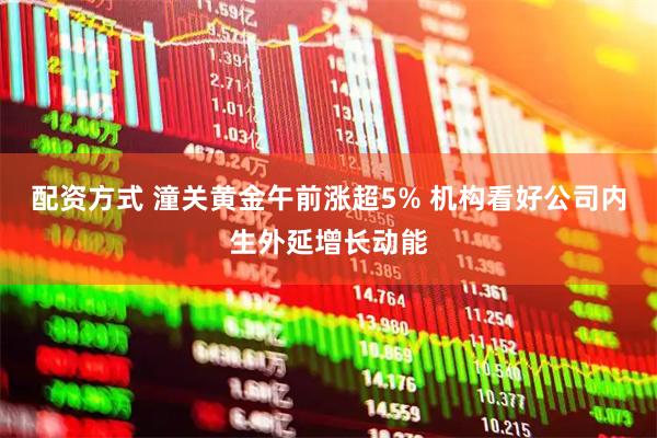 配资方式 潼关黄金午前涨超5% 机构看好公司内生外延增长动能