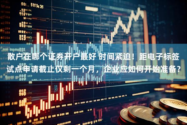 散户在哪个证券开户最好 时间紧迫！距电子标签试点申请截止仅剩一个月，企业应如何开始准备？